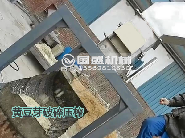 玉米视频下载黄豆芽固液分离机
