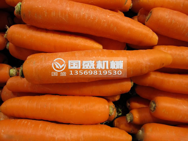 玉米视频下载胡萝卜脱水挤压机 玉米视频下载胡萝卜脱水挤压机